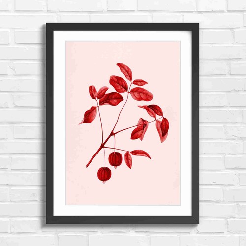 Vintage botanical red - red, fruit