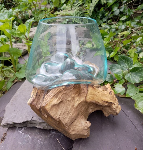 Large gamal root with glass - large,
