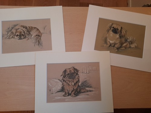 Lucy dawson pekinese lot 3 - ,