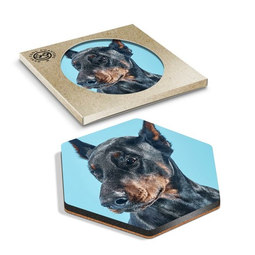 Hexagon coaster doberman - x,