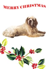 CLUMBER SPANIEL SINGLE DOG