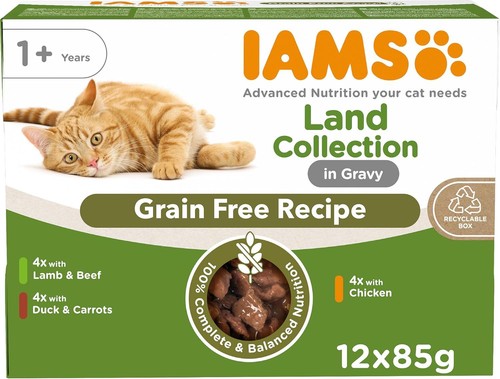 Iams grain free wet - iams, cat