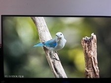 Alienware AW2724DM 27" - QHD