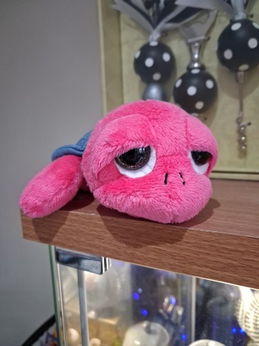Lil peepers small pink turtle - peepers,