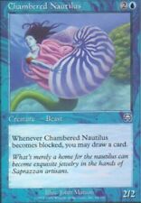Chambered Nautilus Mercadian