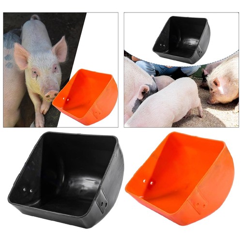 Pig feeding trough piglet - feeding,