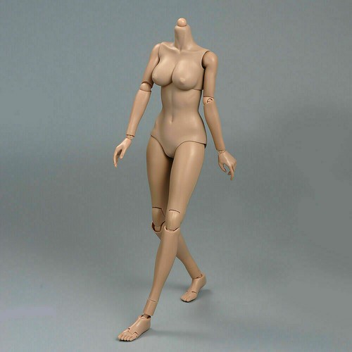 Suntan medium bust - 1/6,