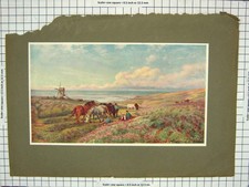 Original Old Antique Print Colour Windmill Horses Countryside