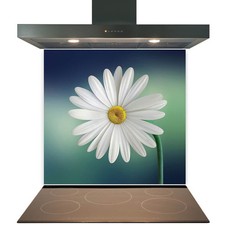 Glass Splashback for Kitchen