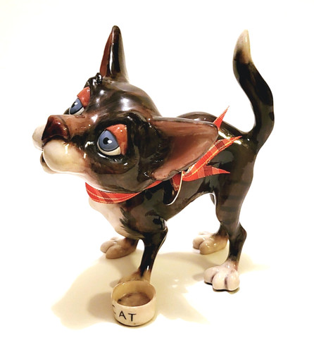 Arora little paws - arora, the