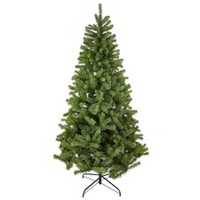 7ft 2.1m Evergreen Fir