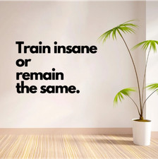 Train Insane Workout