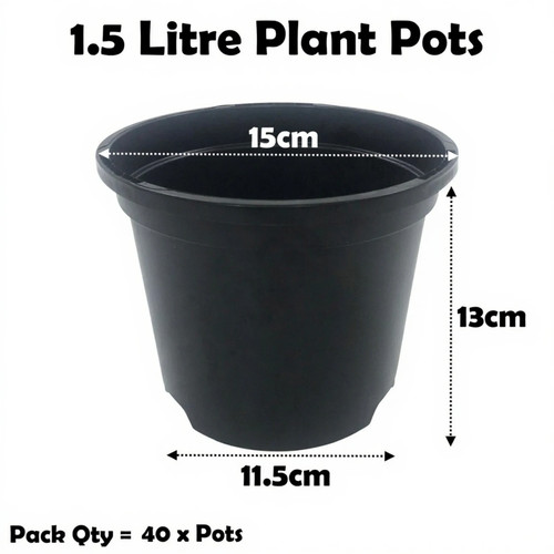 Litre black plant - 1.5,