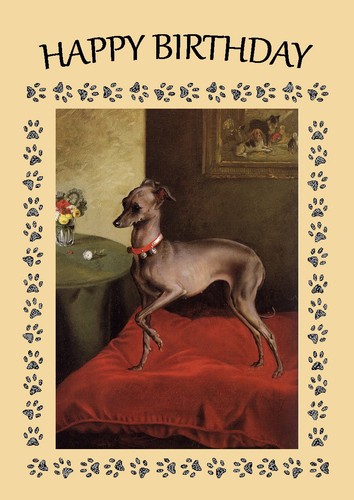 Italian greyhound dog birthday - italian,