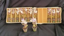 Antique Set Of 12 Place