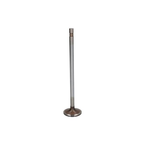 Intake valve fits - intake, fits: