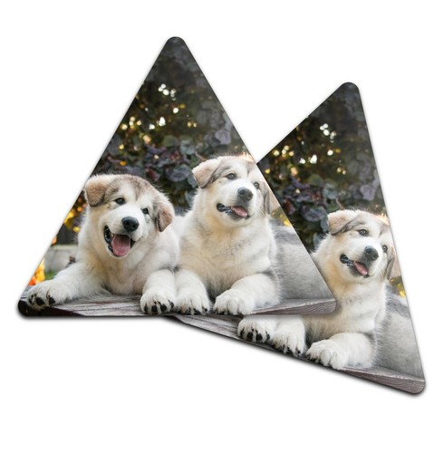 Triangle coaster alaskan - 2x,
