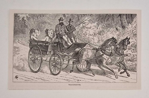 Sidney wagonette 1878 horse - sidney, (1878