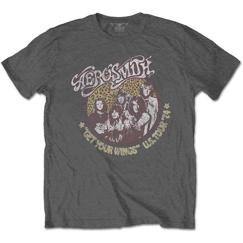 Aerosmith unisex shirt - aerosmith, t-shirt