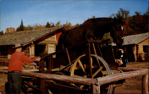 Frontier town horse - frontier,
