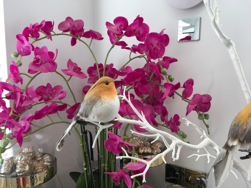 Clip christmas robin cute - christmas,