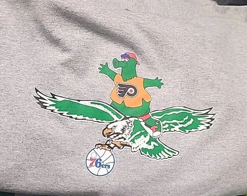 Philadelphia eagles flying - philadelphia,