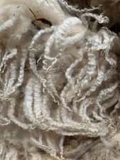Raw Sheep’s Wool -Blueface