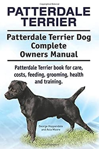 Patterdale terrier - terrier.,