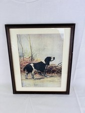 Vintage Framed Maud Earl Print English Springer Spaniel