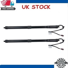 2x Rear Electric Tailgate Gas