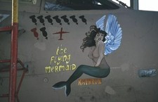 XTRADECAL 1/48 Buccaneer S.2 S.2B 12 Sqn 237 OCU 1991 Desert Storm nose art(RAF)