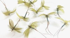 Green drake fawning mayfly - mayfly, dry