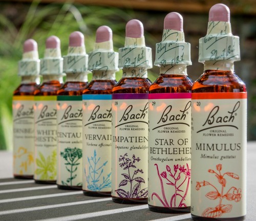 Nelsons bach original flower - bach,