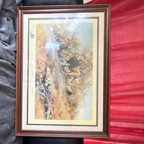David shepherd signed - david, print