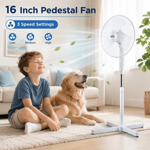 Pedestal cooling fan - pedestal, desk