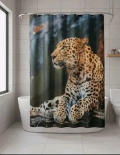 Stunning Leopard Wild Safari