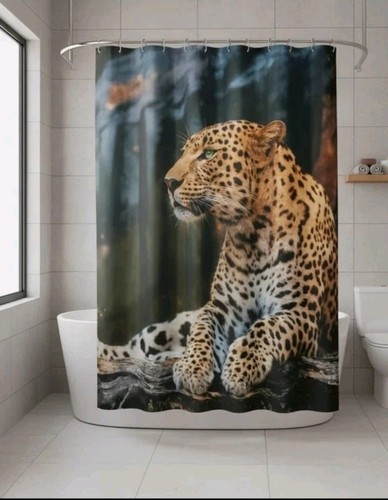 Stunning leopard wild safari - wild,