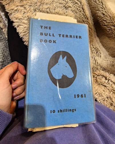 The bull terrier club - bull,
