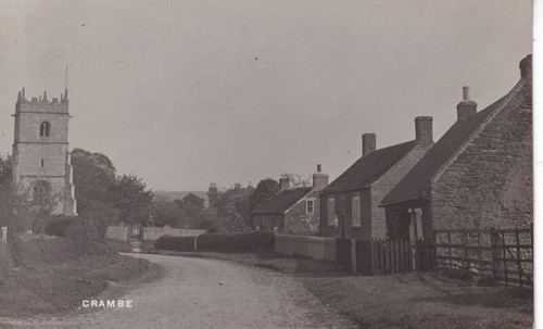 Crambe malton rppc - crambe,