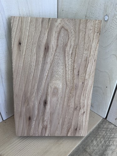 150 english elm - board, offcut