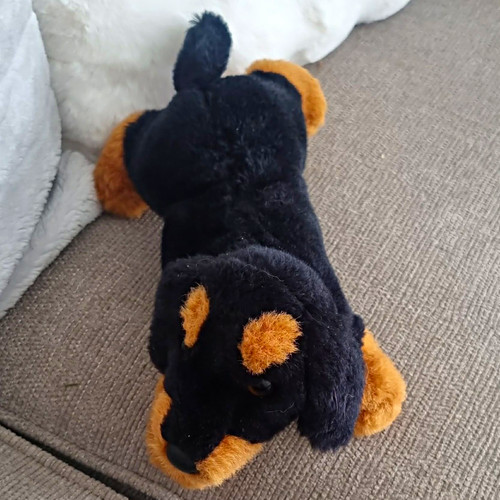 Douglas cuddle toys small - douglas,