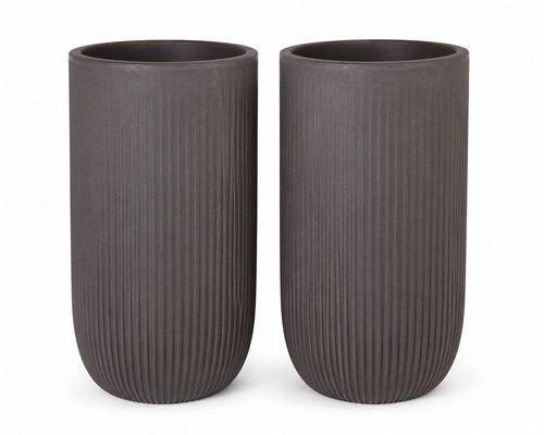 Tall round plant - , pot
