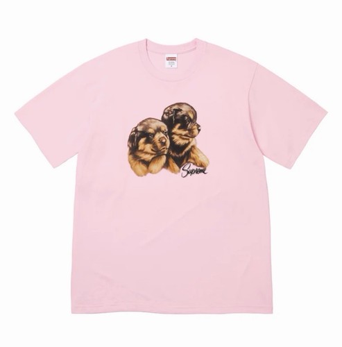 Size small supreme - supreme, puppies