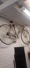 Raleigh Massif mountain bike