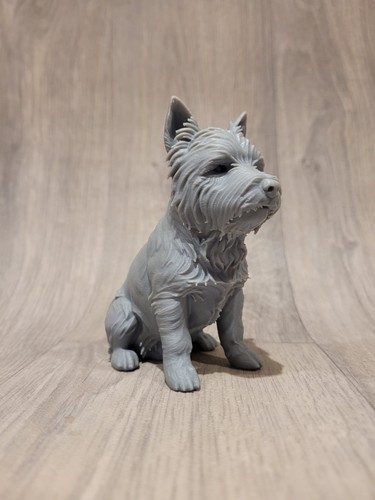 West highland white terrier - west,