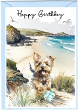 Yorkshire Terrier / Yorkie