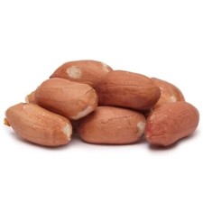 25KG Premium Peanuts Wild Bird