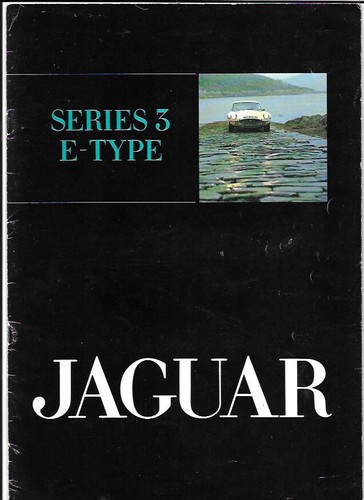 Jaguar type series car - type,