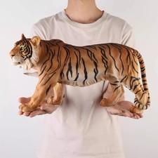 Large Cat Bengal Tiger