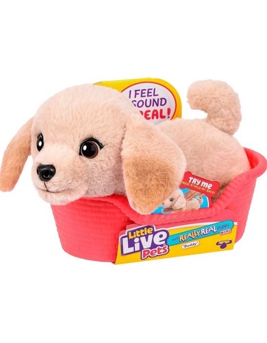 Little live pets really - little,